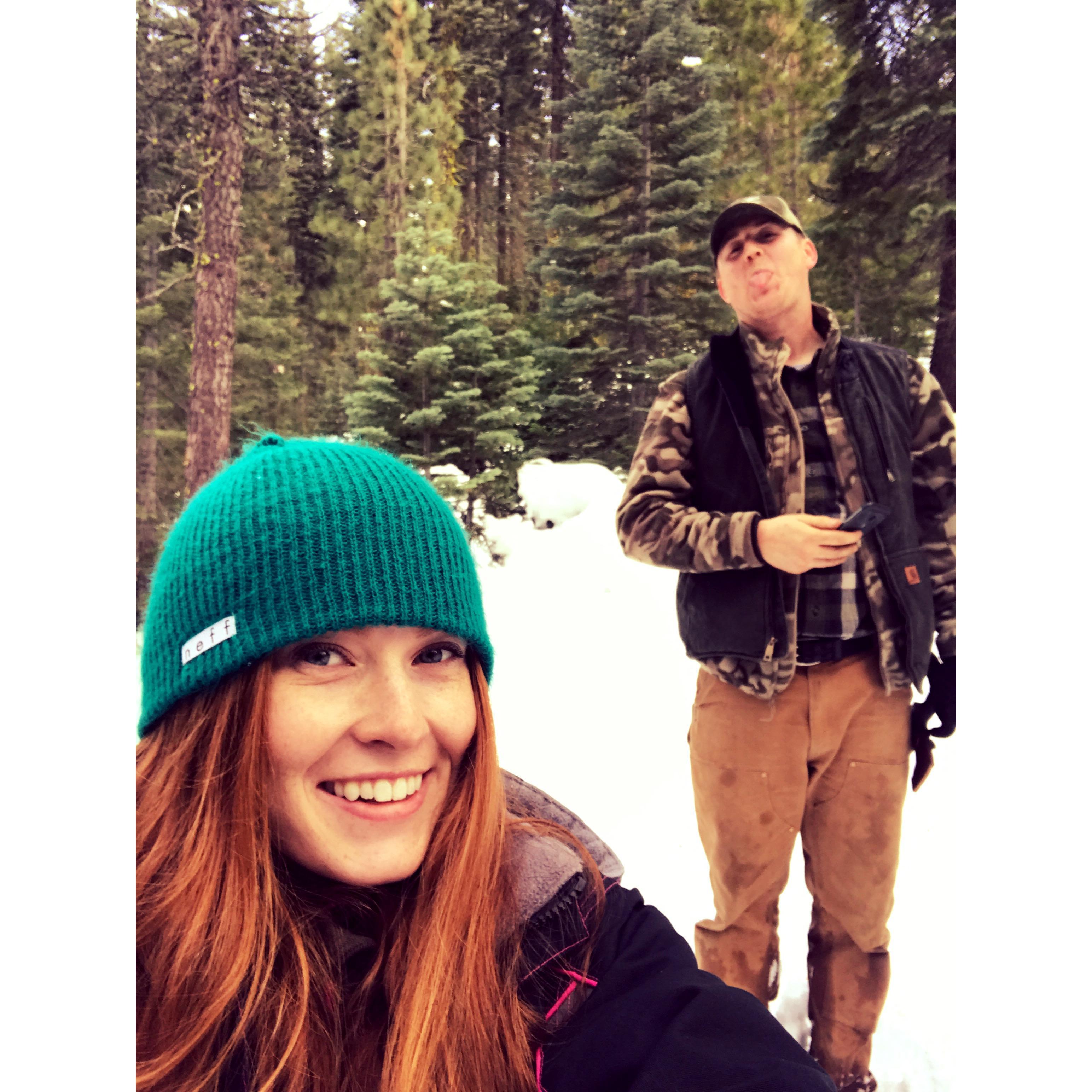 Cutting down our first Christmas tree together