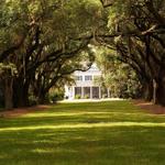 Charles Towne Landing State Historic Site