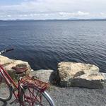 Local Motion Bike Rentals
