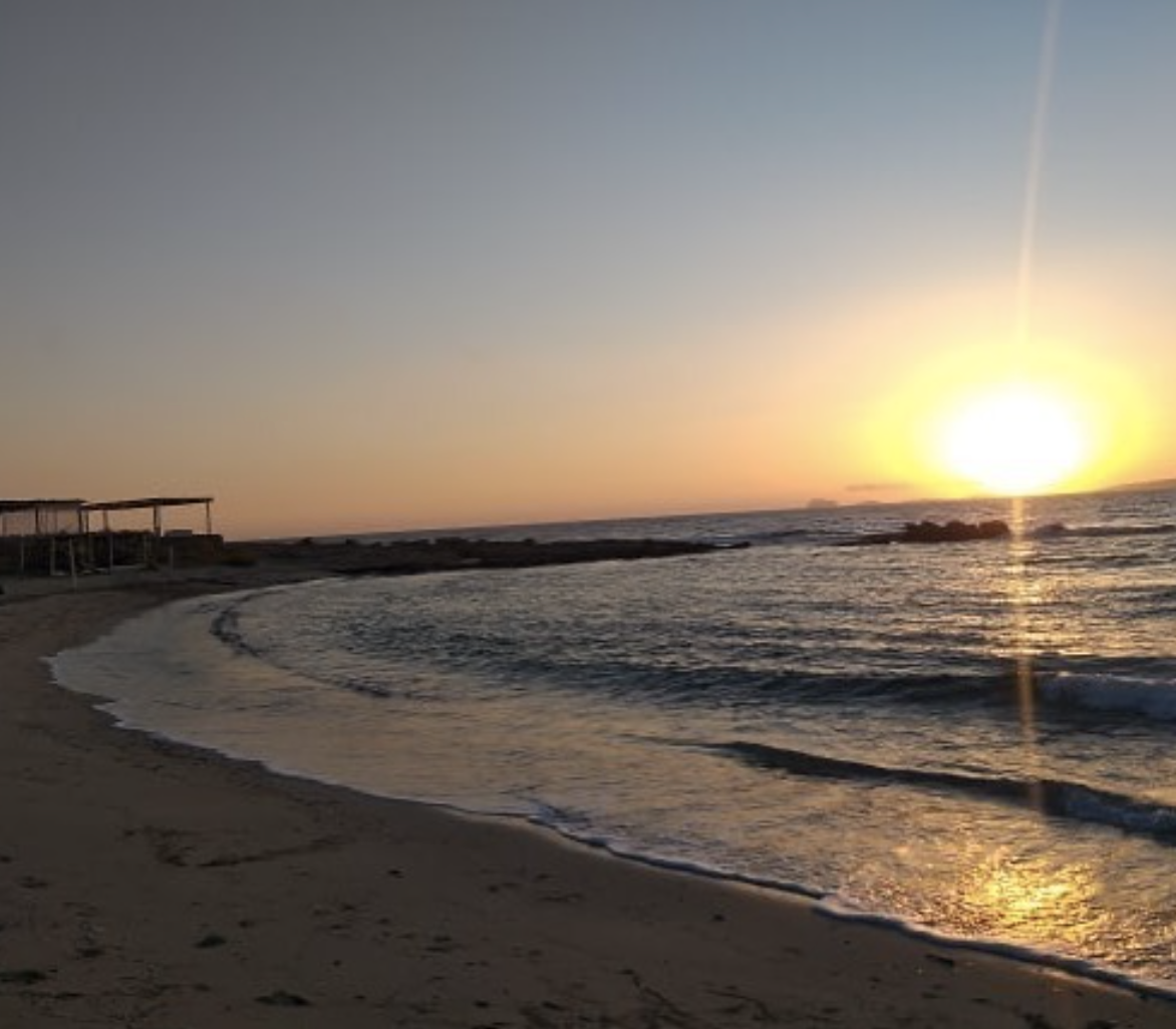 The Wedding Website of Zoe Kritikos and Vance Miceli