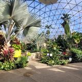 Greater Des Moines Botanical Garden