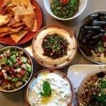 Pita Grille Kosher Cuisine