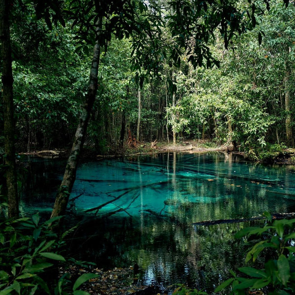 Cliff and Jungle Explorer Tour in Krabi