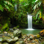 El Yunque National Forest