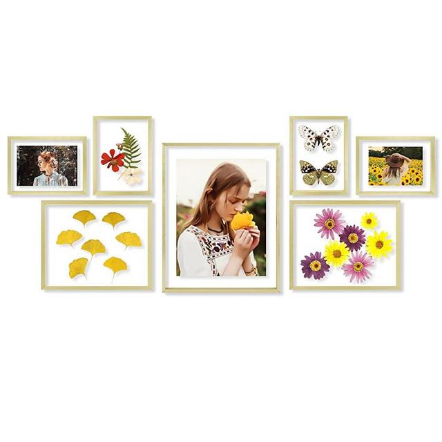 Frametory, Floating Picture Frames Set - Gold Metal Photo Frames - Real Glass - Displays One 11x14, Two 8x10, And Four 5x7 Inch Photos for Home Decoration