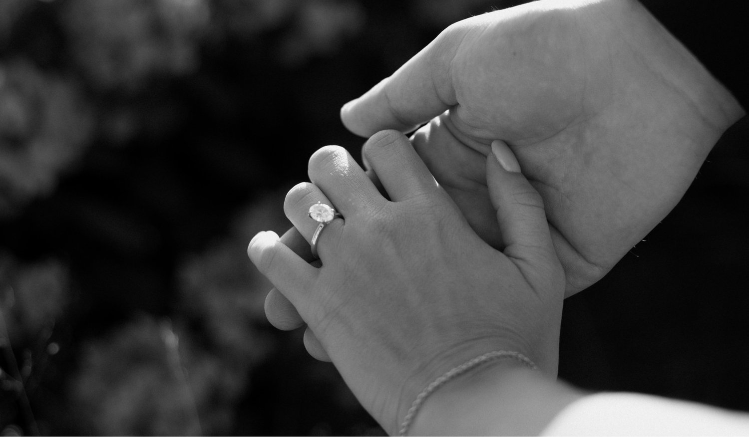 The Wedding Website of Courtney Sullivan and Will Miller