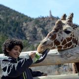 Cheyenne Mountain Zoo