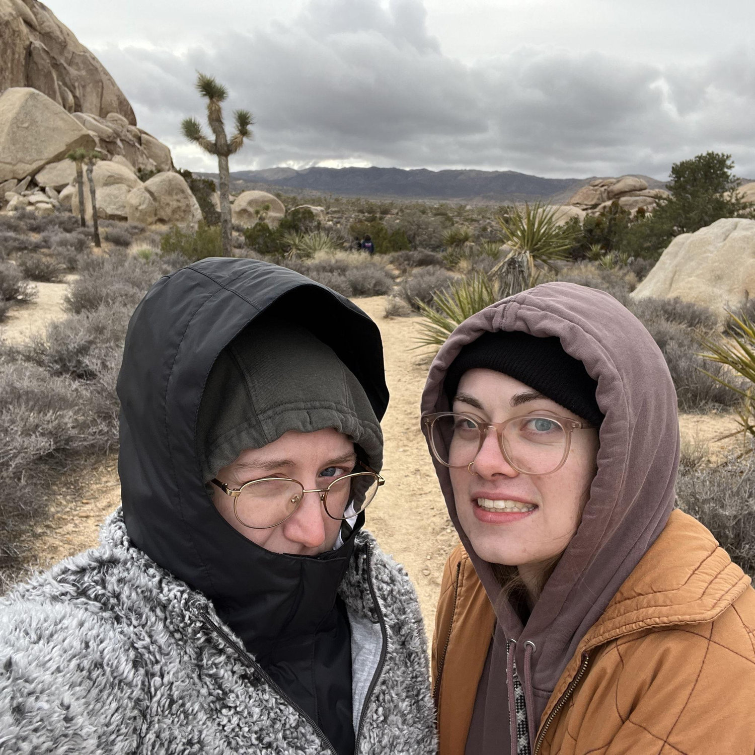 Joshua Tree 2023