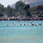 Doheny State Beach