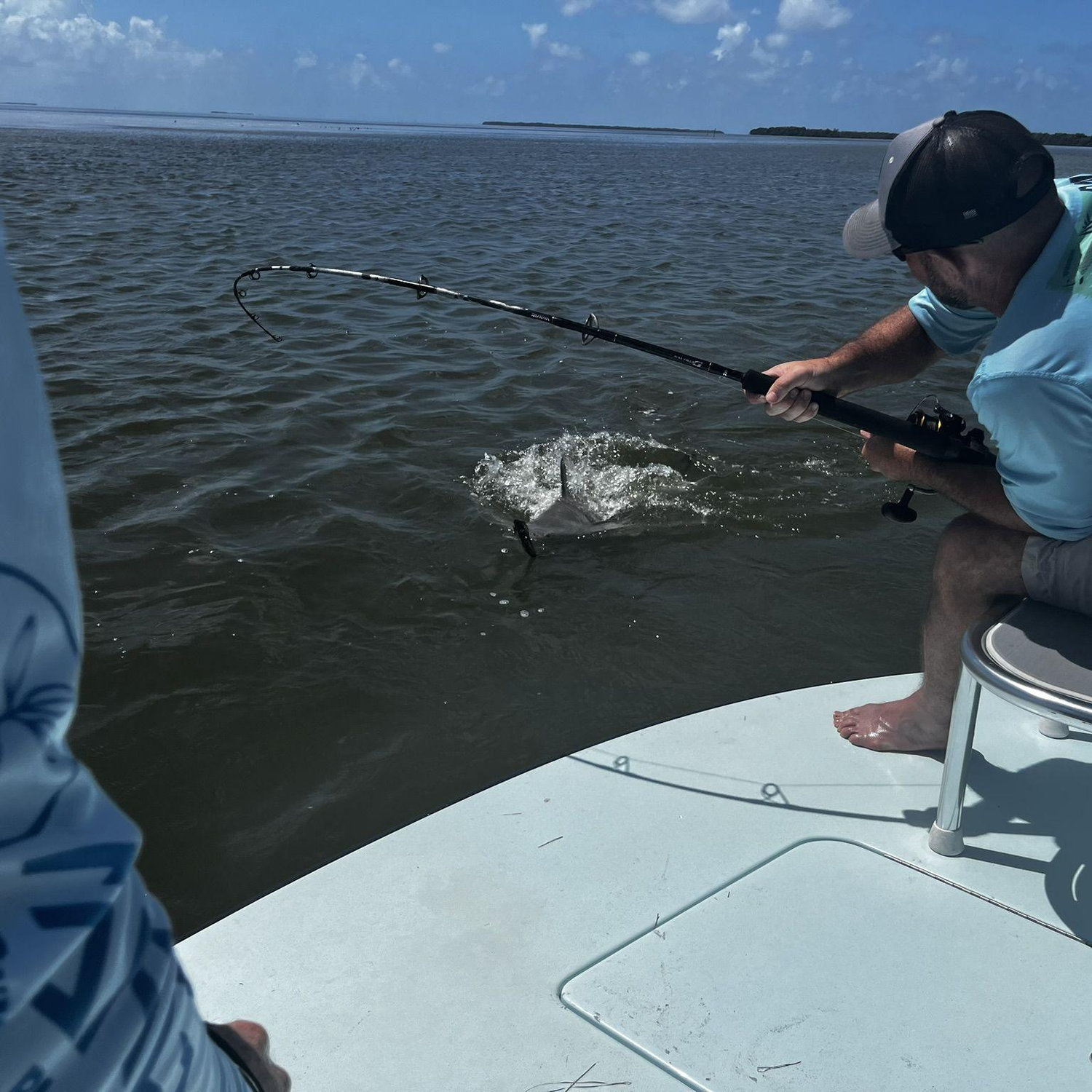 Catching a shark in the Everglades