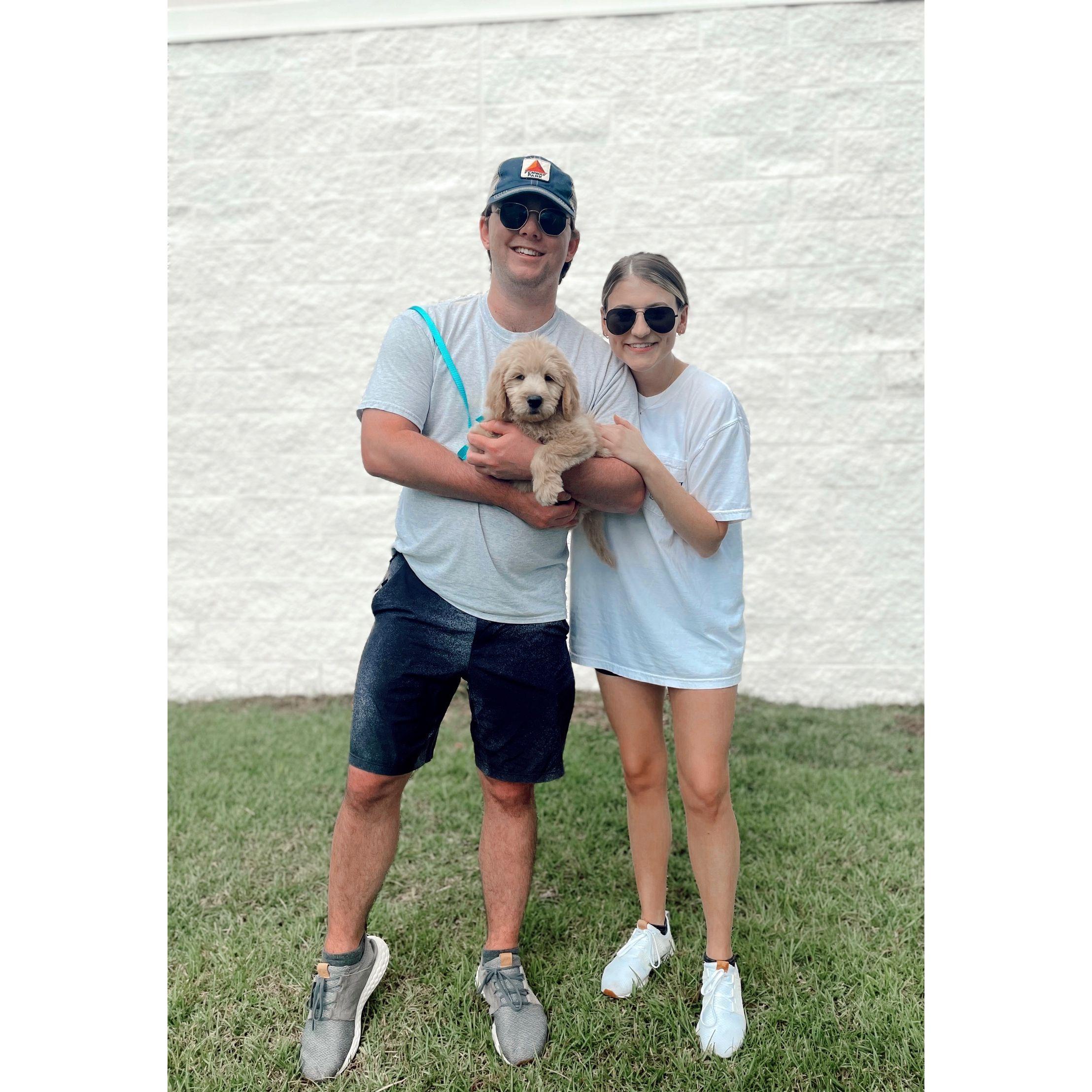 October 2021: Added Harvey to the family