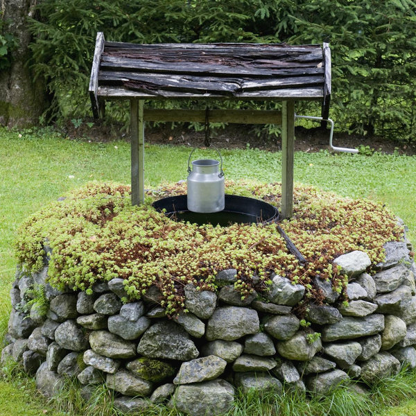 Wishing Well