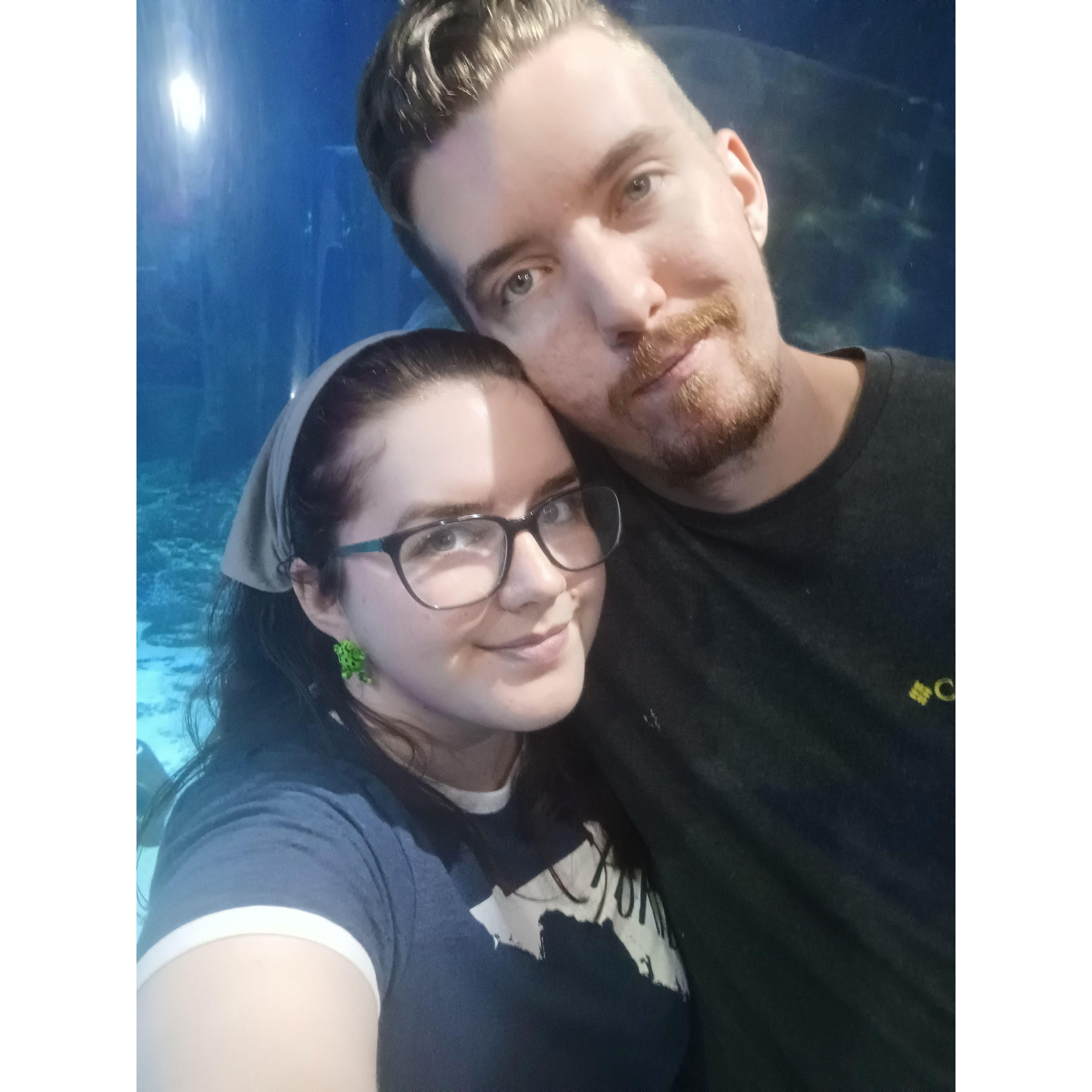 A trip to the aquarium.