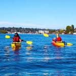 Moss Bay - Kayak & Paddleboarding