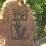 Nashville Zoo at Grassmere