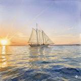 Sail on the Argia