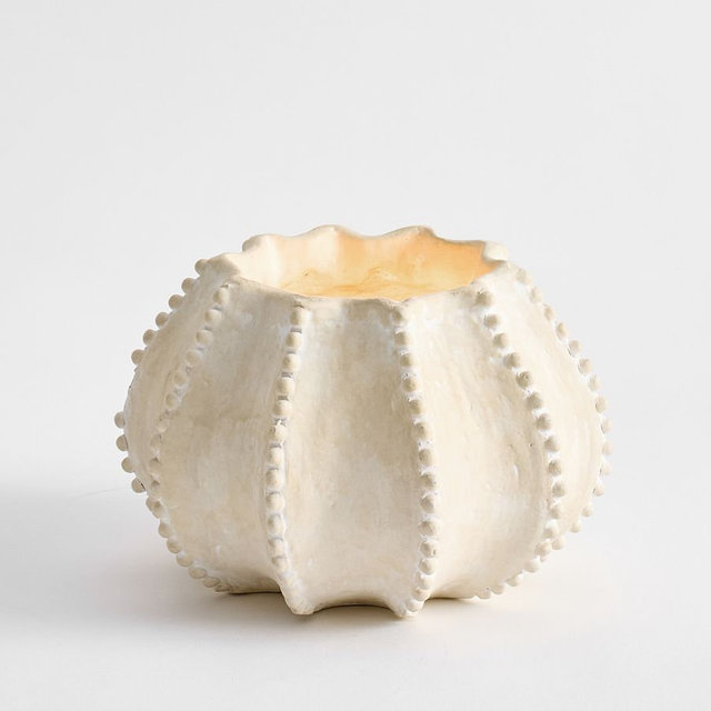 Coastal Artisan Studio Candle – Sea Urchin (Navy Beach) – Large