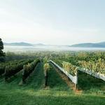 Veritas Vineyards and Winery