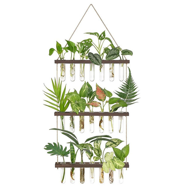 Mkono Plant Propagation Tubes, 3 Tiered Wall Hanging Plant Terrarium with Wooden Stand 21 Test Tube Flower Vase Glass Planter for Hydroponic Plant Cutting Home Garden Office Decor Plant Lover Gift