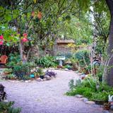 Tucson Botanical Gardens