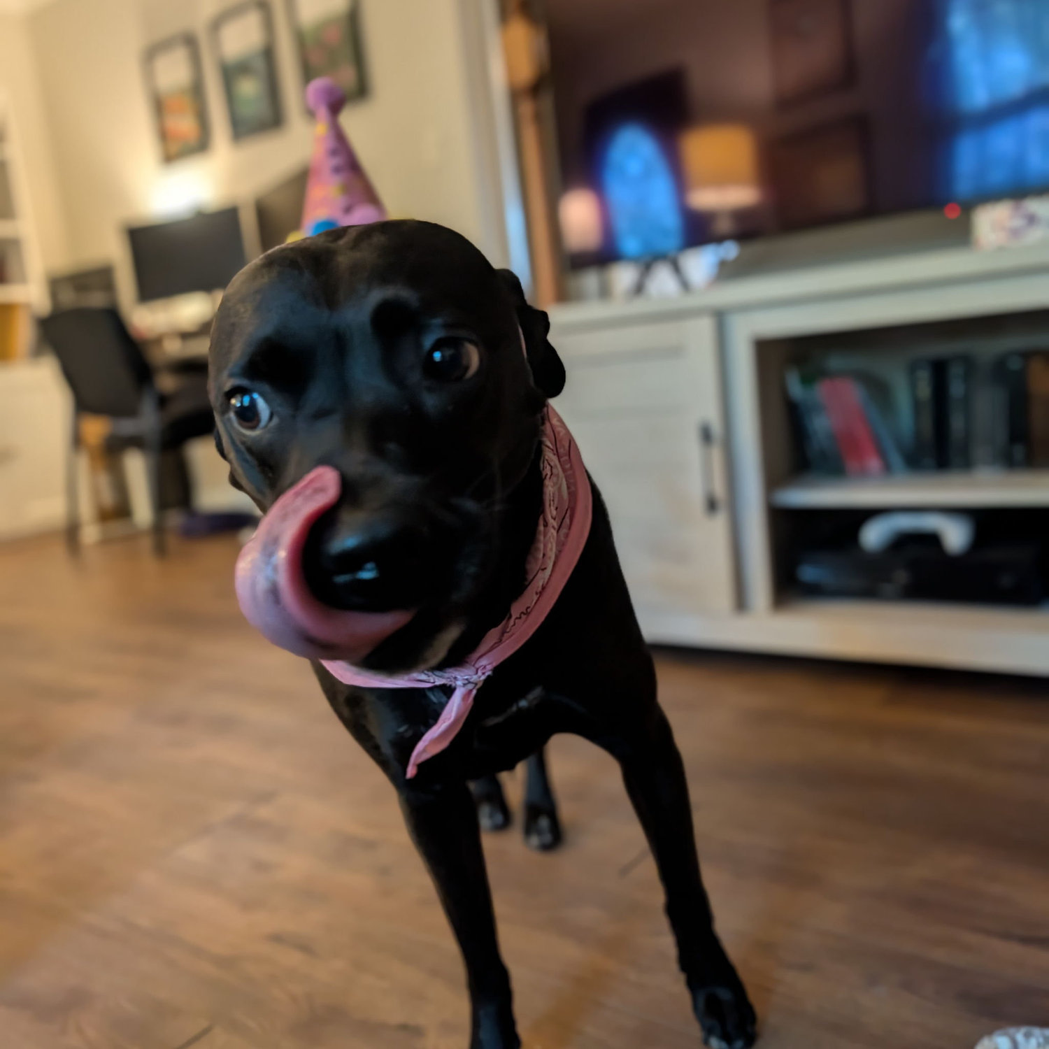 Birthday girl! Nora is 4 now!