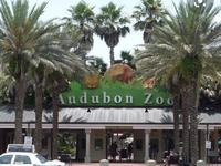 Audubon Zoo