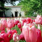 The Dallas Arboretum and Botanical Garden