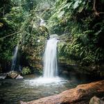 El Yunque National Forrest