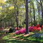 Callaway Gardens Spa