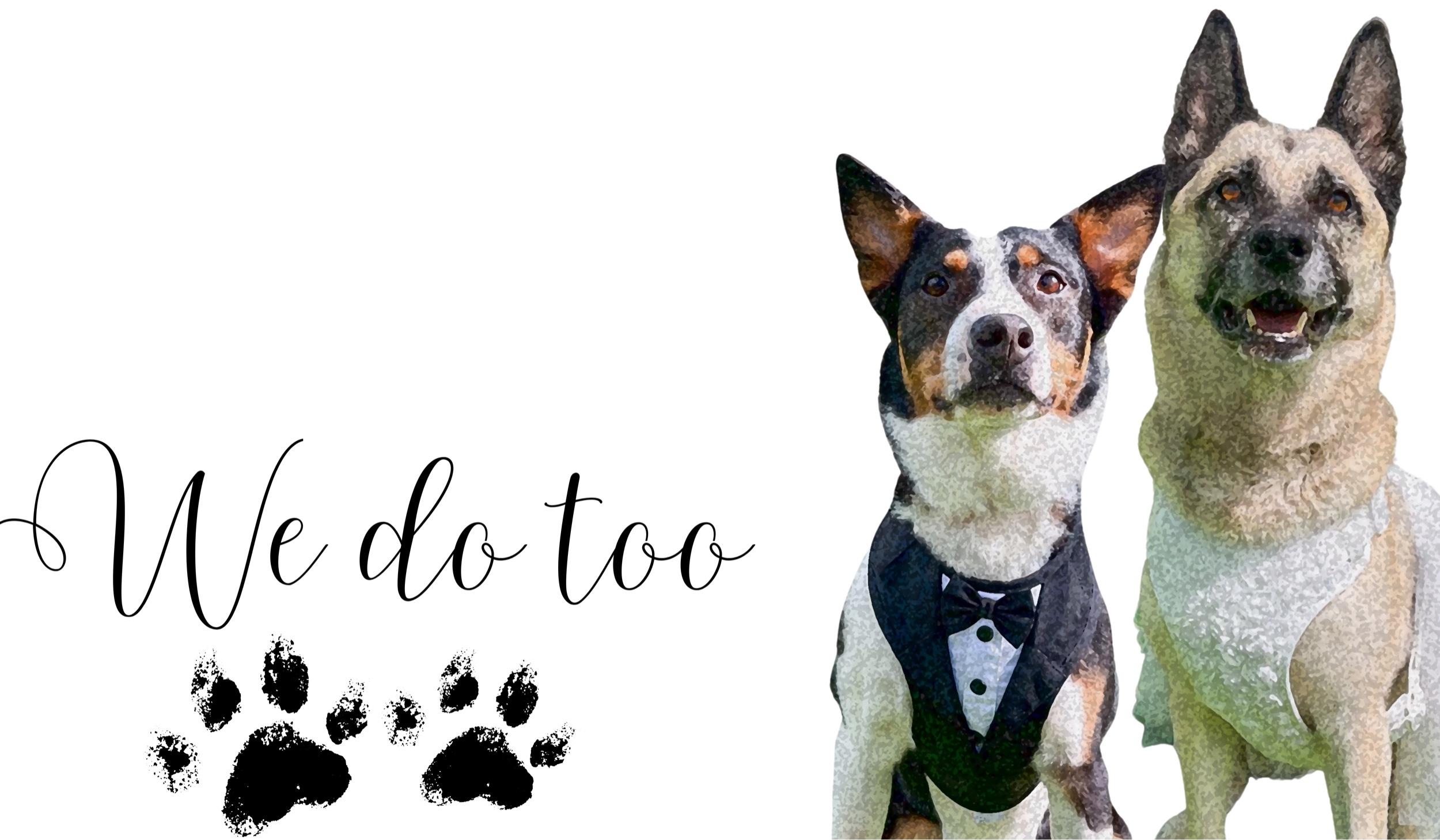 The Wedding Website of HOLLY SYMOSKY and PHILLIP GLADSTONE