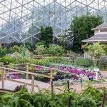 Mitchell Park Domes Horticulture Conservatory