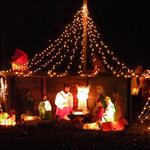 Trawick's Christmas Lights