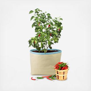 Homegrown Gourmet All-Purpose Harvest Grow Bag