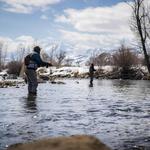 Park City Fly Fishing Company