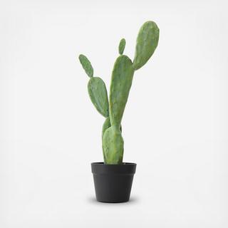 Faux Cactus in Pot