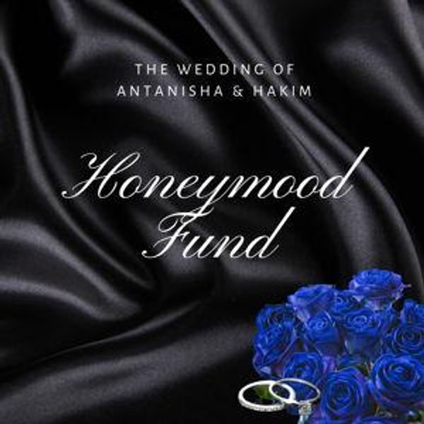 Our honeymoon fund