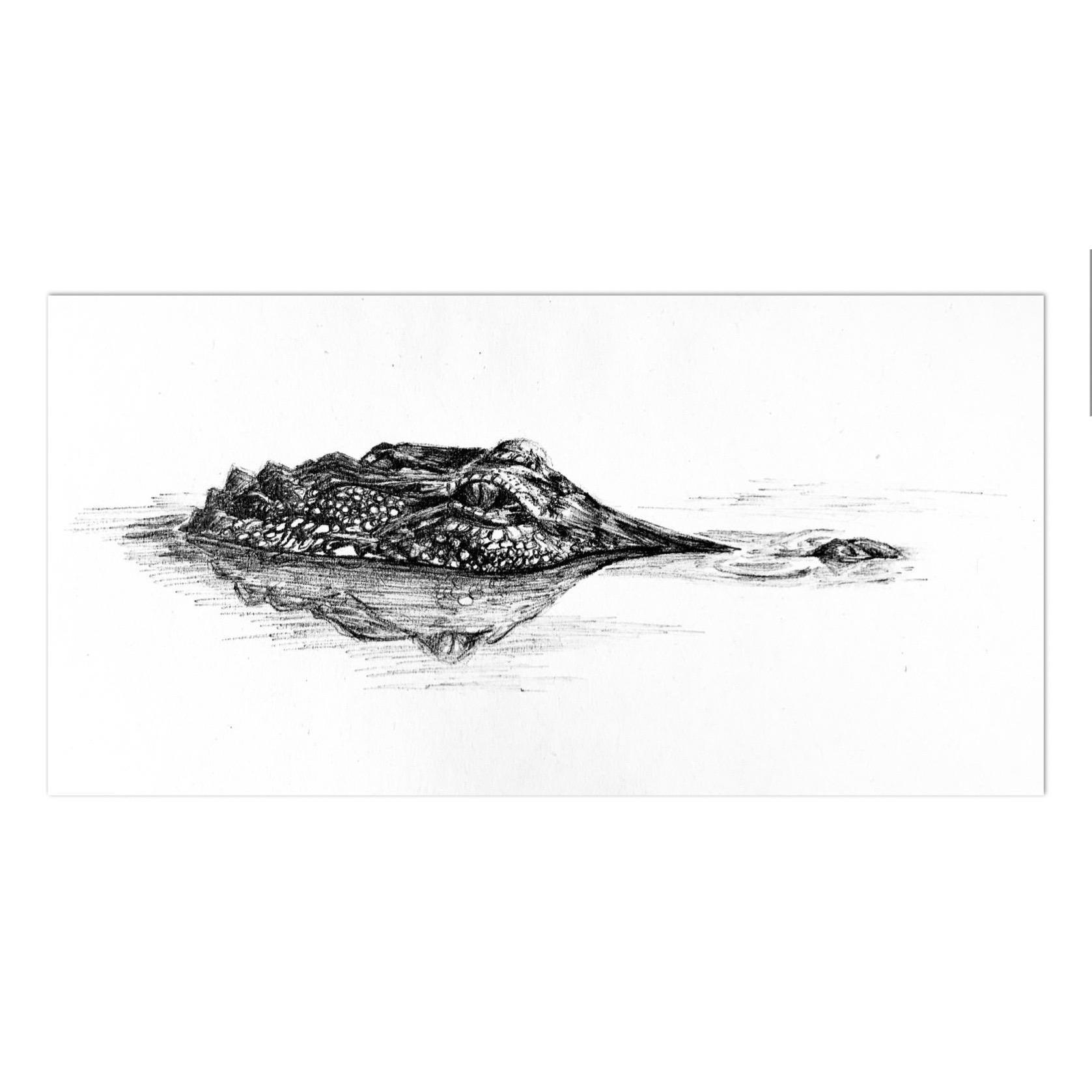 Croc Watch 
Ink on Paper
5x7 
Framed
Suggested Price: $30