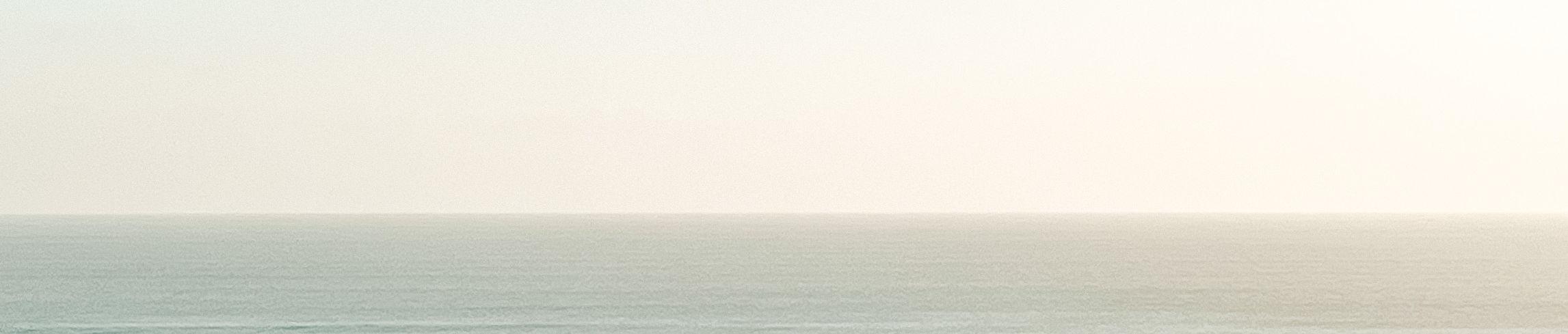 The Wedding Website of Sofia Campins and Joao Serras