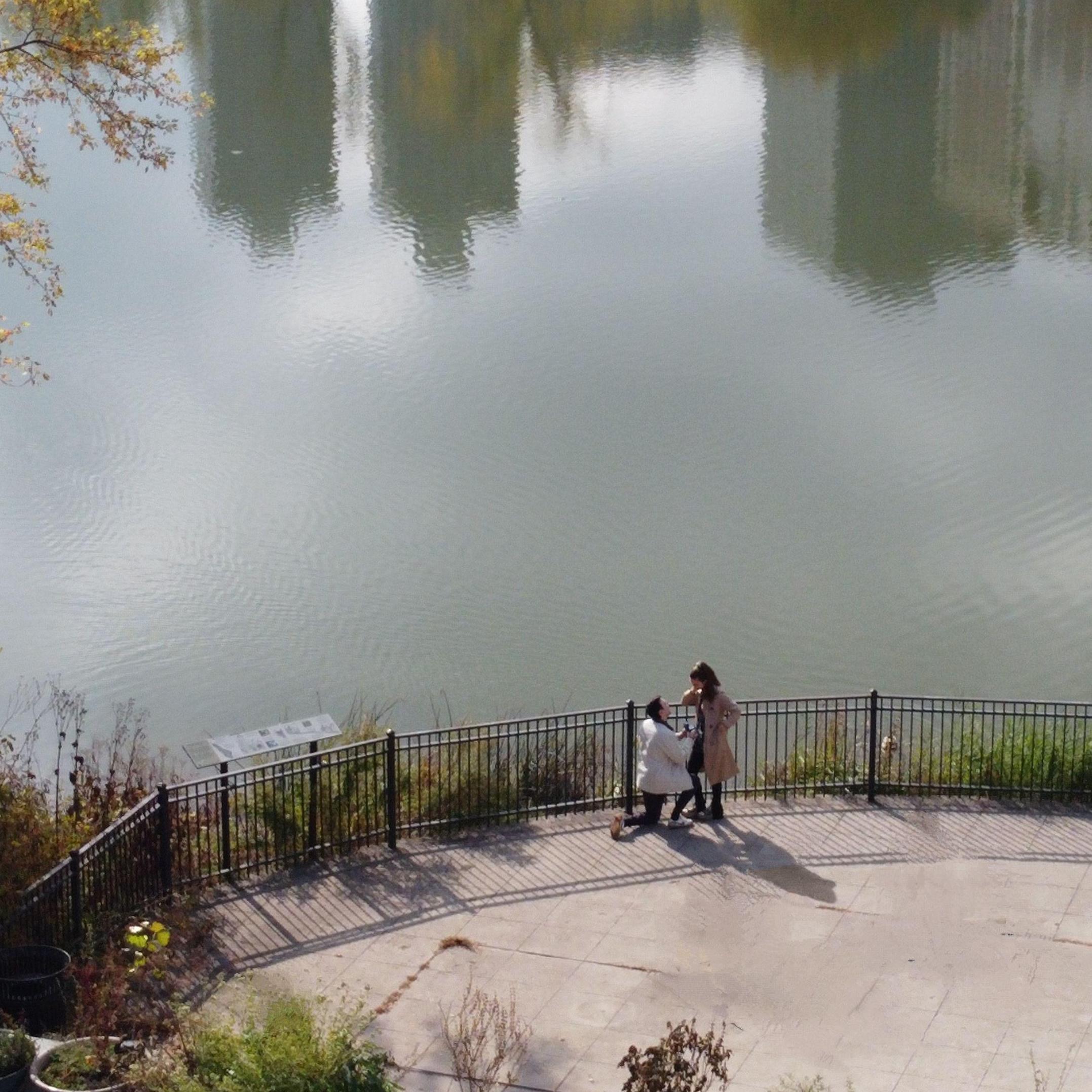 the actual proposal!