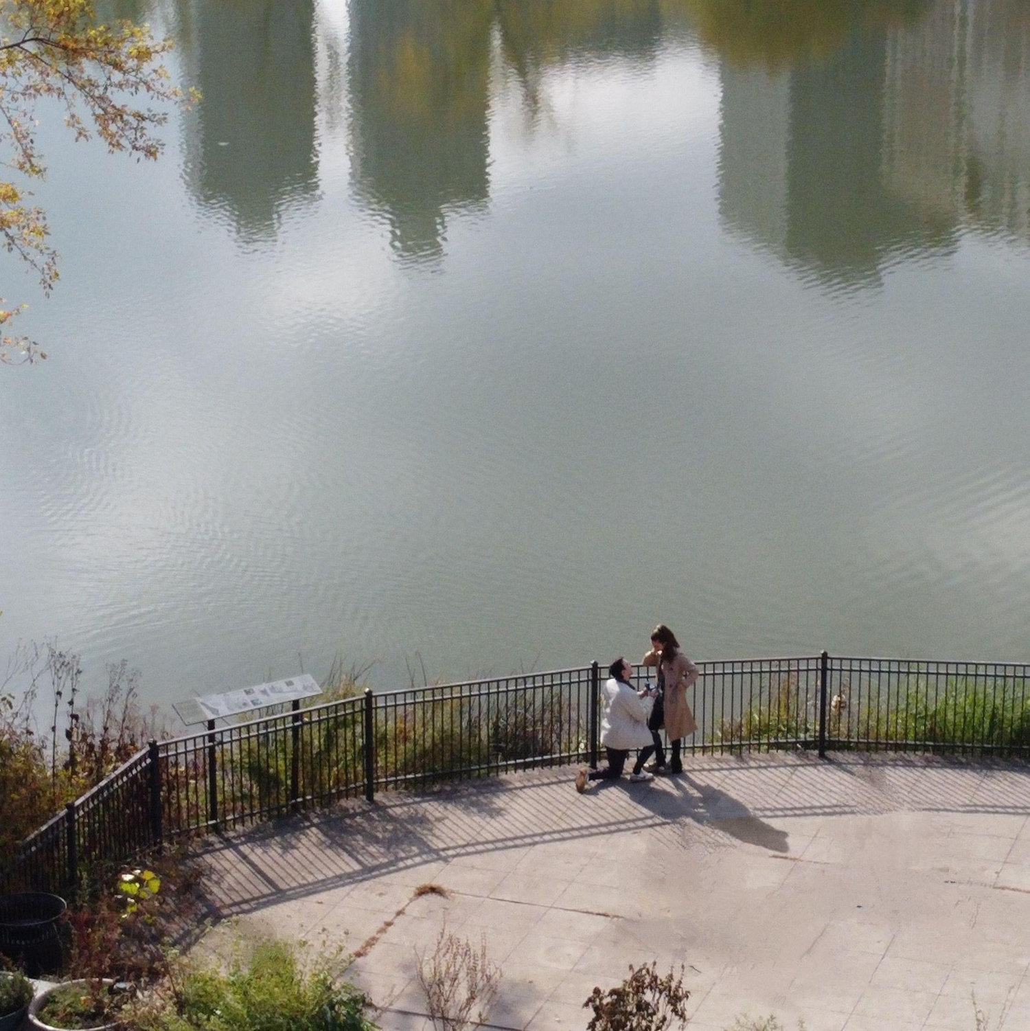the actual proposal!