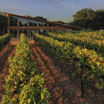 William Chris Vineyards