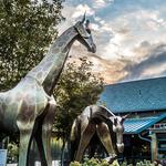 Denver Zoo