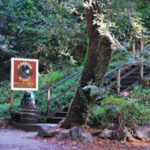 Fernwood Campground and Resort