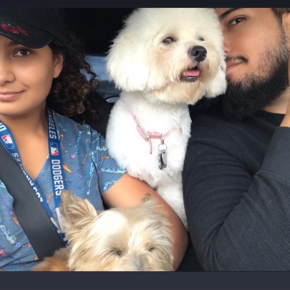 Our pets