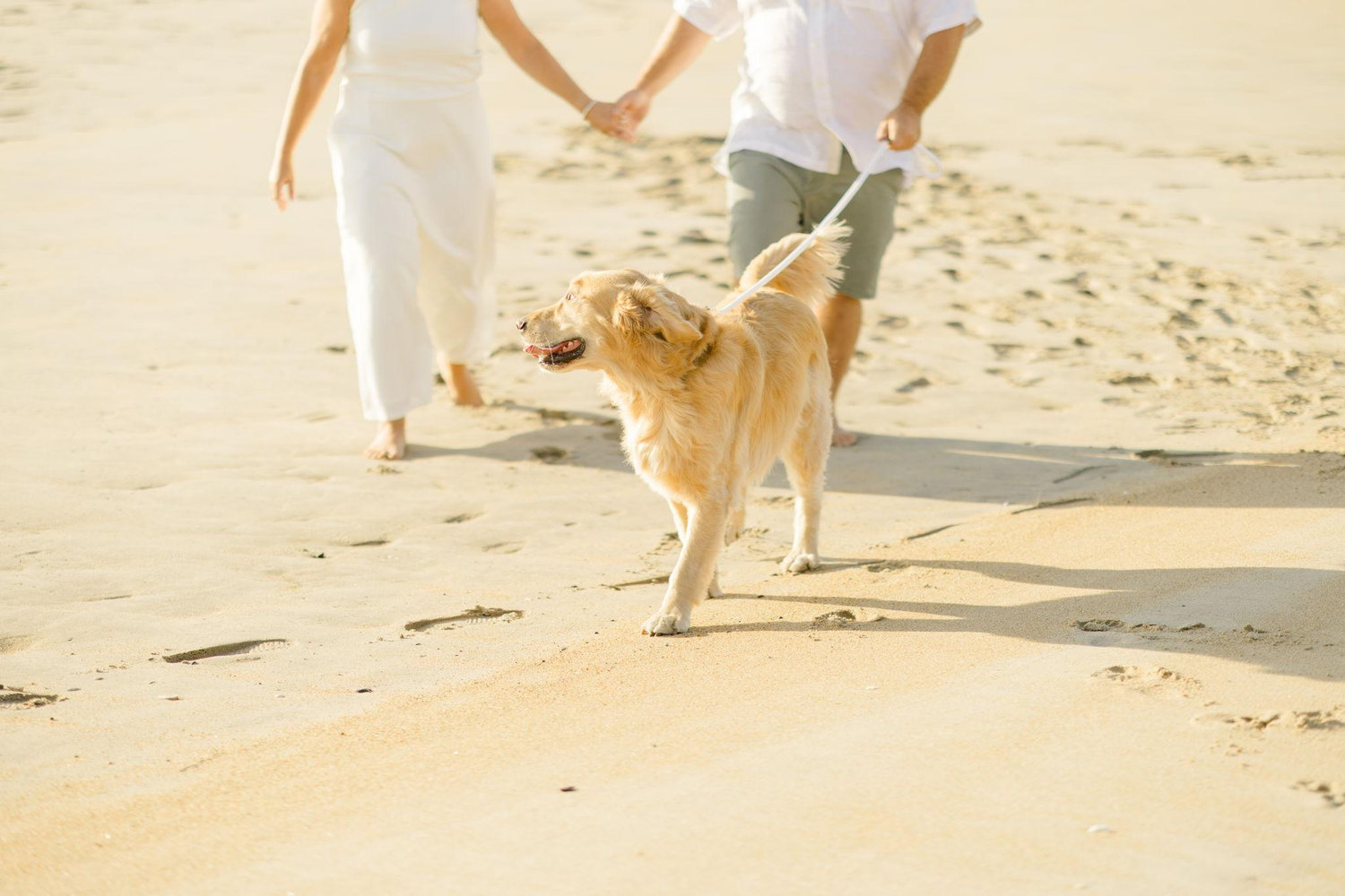 The Wedding Website of Maddie Doralynn Dalgliesh and Matthew David Churchill