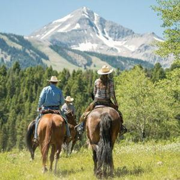 Horseback Riding On Our Honeymoon