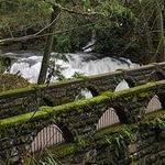 Whatcom Falls Park