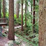 Hoyt Arboretum