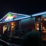 Shade Tree Saloon & Grill