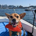 Rent a boat on Lake Union